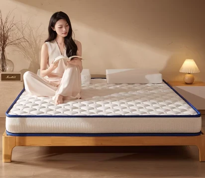 Home Queen Mattress